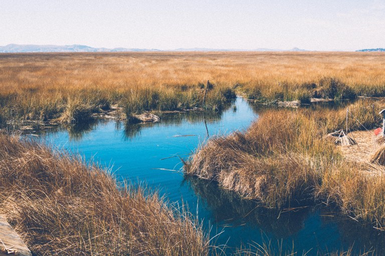 titicaca-28